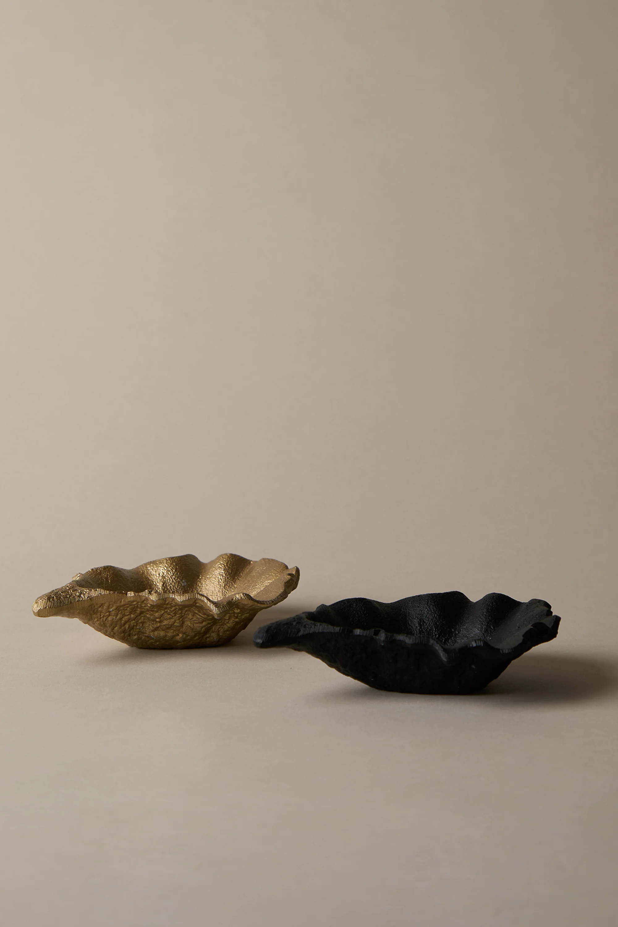 OYSTER SHELL DISH - Image 3