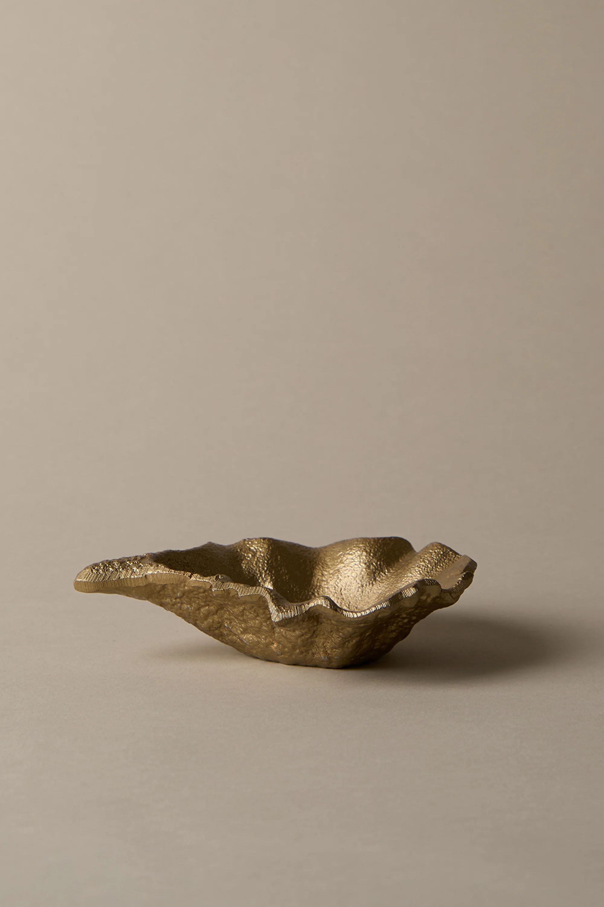 OYSTER SHELL DISH - Image 4