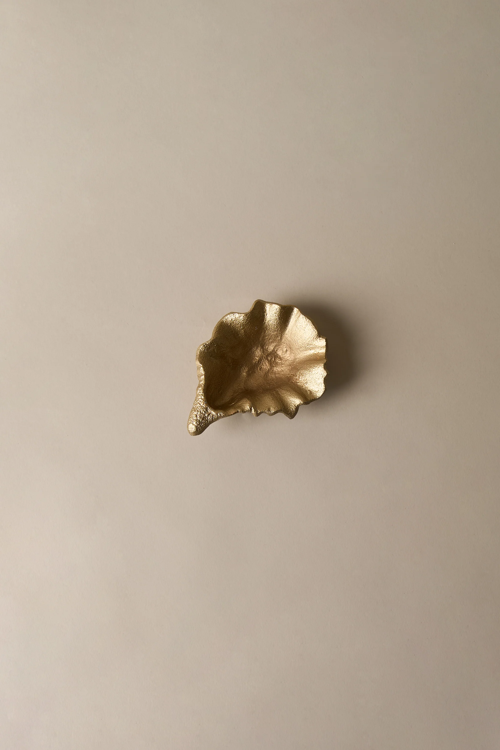 OYSTER SHELL DISH - Image 5